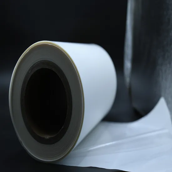 Thermoplastic Hot Melt Adhesive Film for Bonding The Nylon Velco Tape 