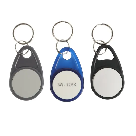 Event Festival Promotion Custom Logo Printed Plastic NFC Ntag213 RFID Keyfob 
