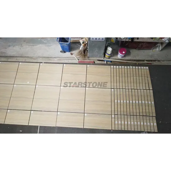 Starstone Italian Classical Silver Marble Stone Travertine for Indoor/Outdoor Hotel Floor Wall Coping Cladding/Tile 