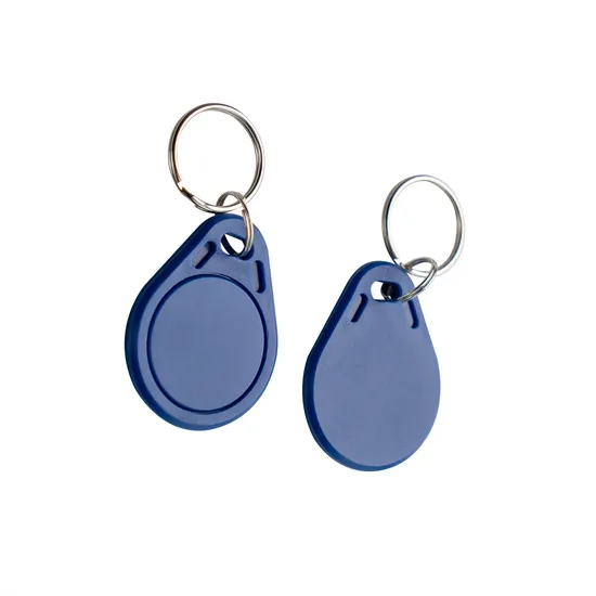 125kHz Lf Em4305 T5577 / 13.56MHz Hf RFID Tag Rewritable Keyfob with Keychain 