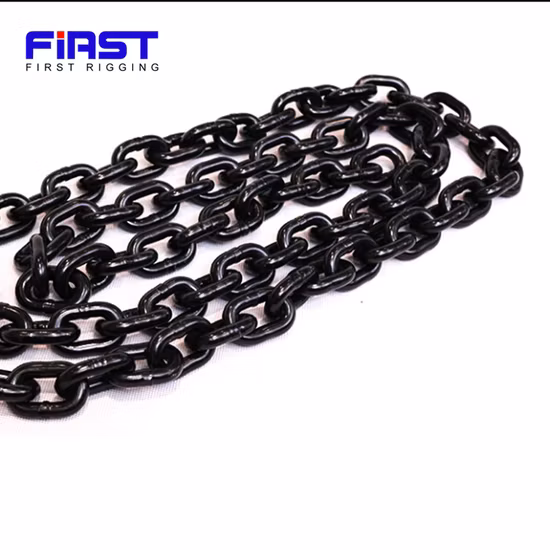 Sell High Quality and Cheap Goods Lifting Chain